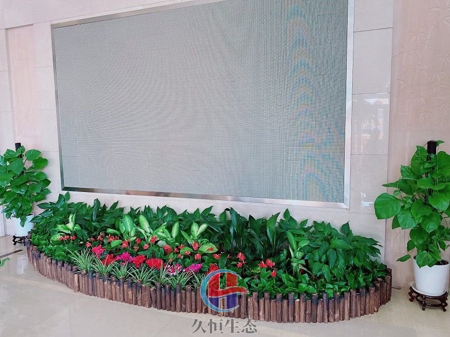 北仑企业大厅显示屏组合花卉绿植摆放